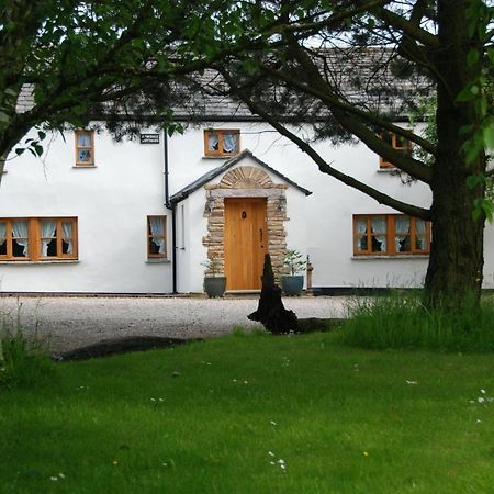 Armidale Cottages B&B Workington Bagian luar foto